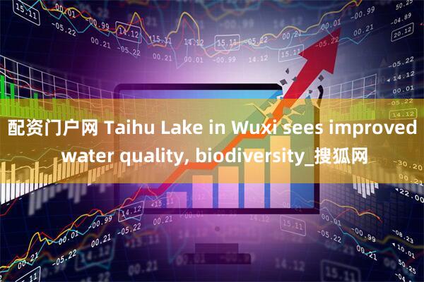 配资门户网 Taihu Lake in Wuxi sees improved water quality, biodiversity_搜狐网